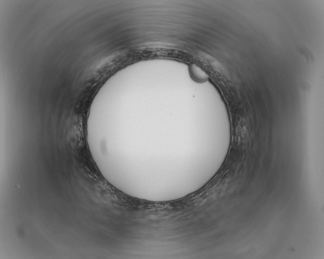 X0000111431062200908031326