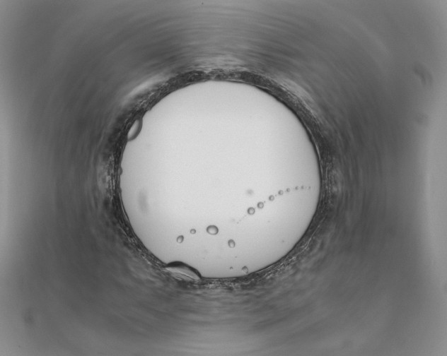 X0000111431063200908031326