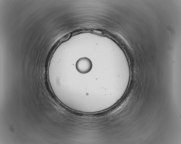 X0000111431065200908031326