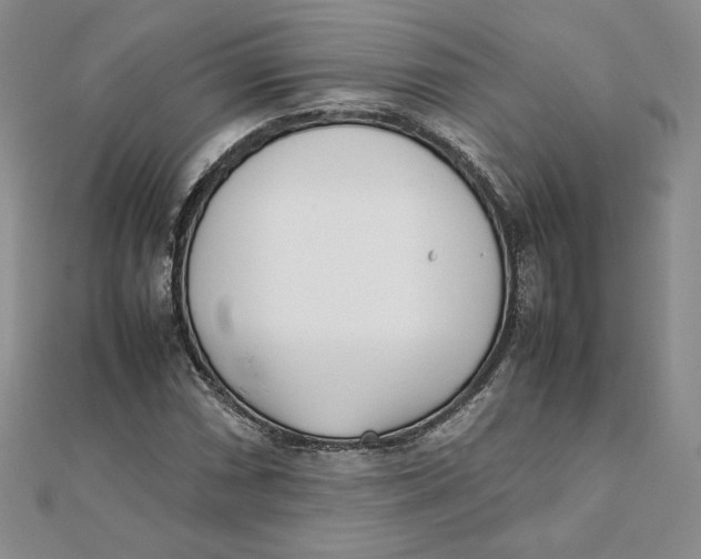 X0000111431066200908031326