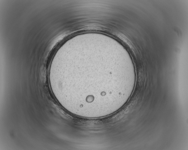 X0000111431067200908031326