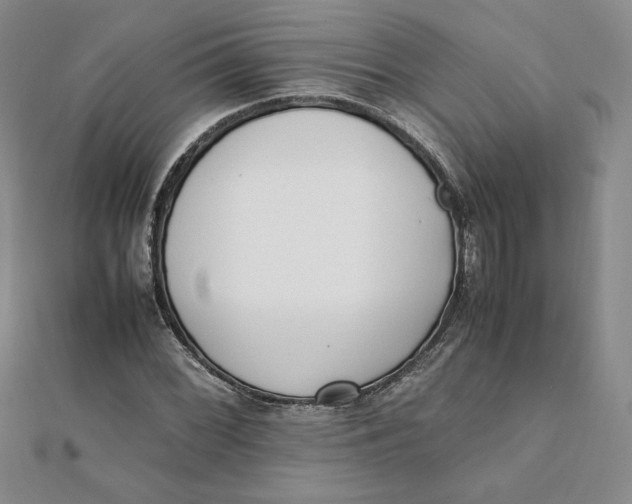 X0000111431068200908031326