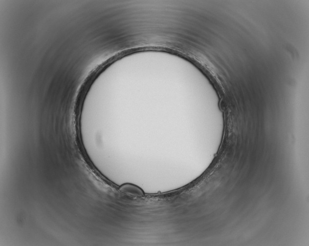 X0000111431072200908031326