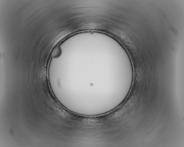 X0000111431073200908031326