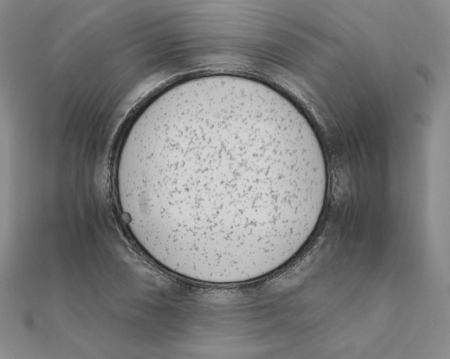 X0000111431074200908031326