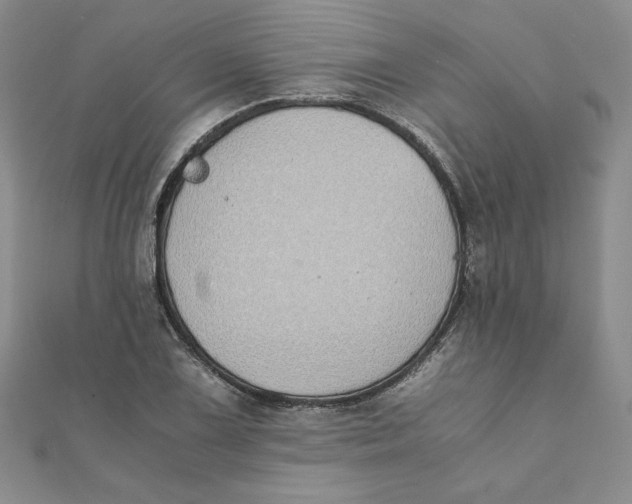 X0000111431075200908031326