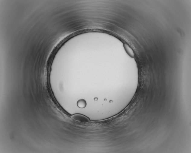 X0000111431076200908031326