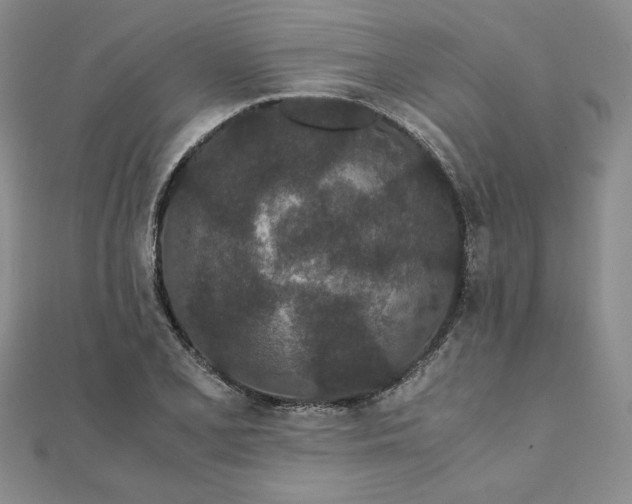 X0000111431077200908031326