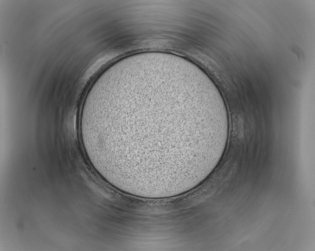 X0000111431078200908031326