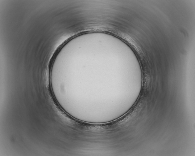 X0000111431079200908031326