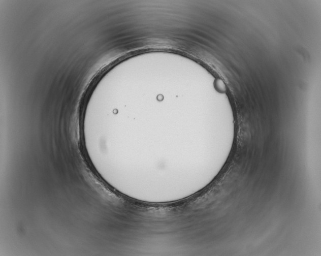 X0000111431080200908031326