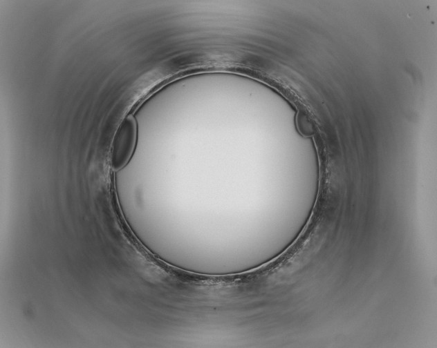 X0000111431081200908031326