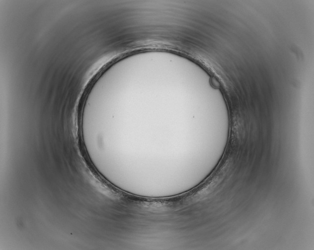 X0000111431082200908031326