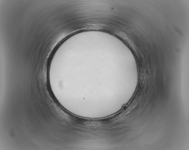 X0000111431083200908031326