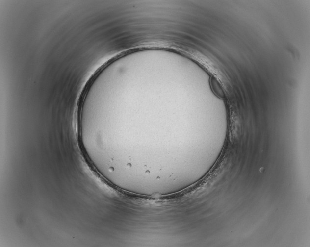 X0000111431084200908031326