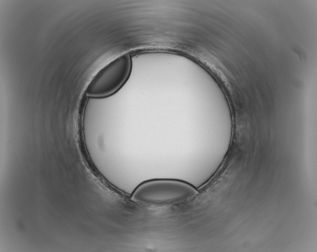 X0000111431085200908031326