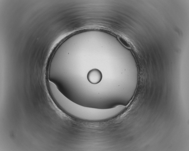 X0000111431086200908031326