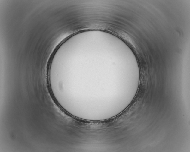 X0000111431087200908031326