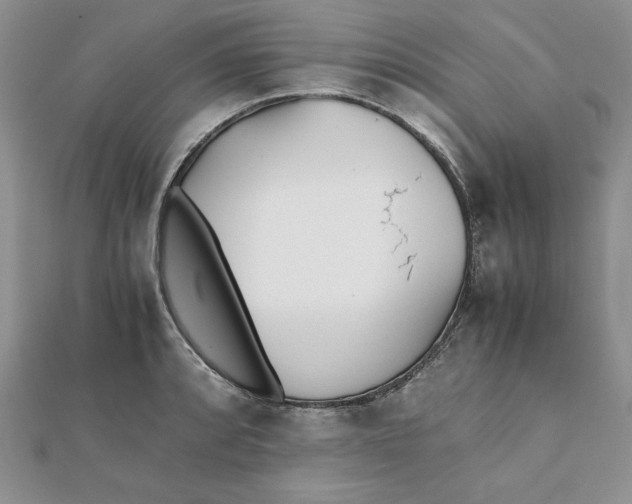 X0000111431088200908031326