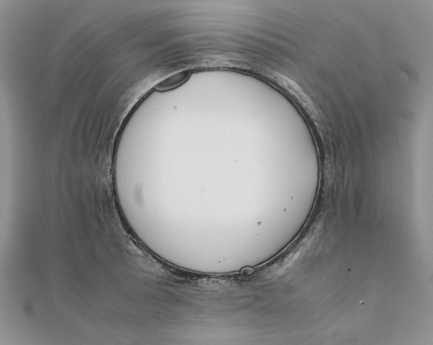 X0000111431089200908031326