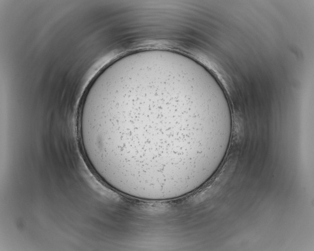 X0000111431090200908031326