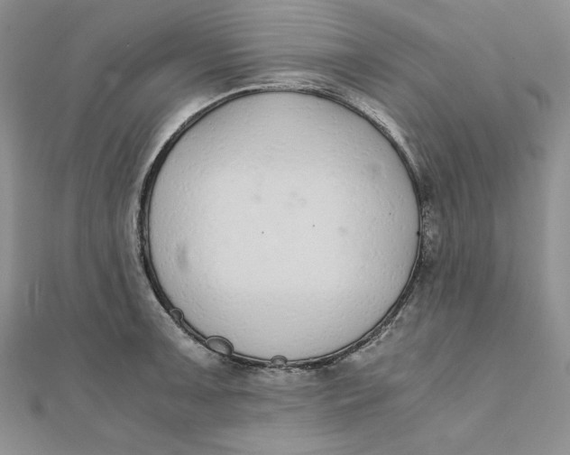 X0000111431091200908031326