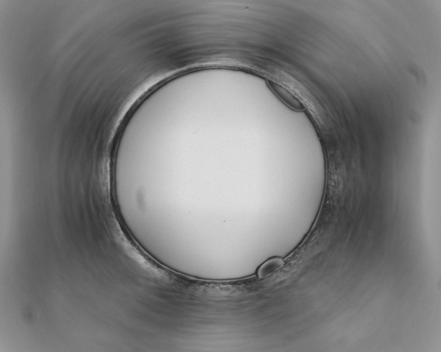 X0000111431092200908031326