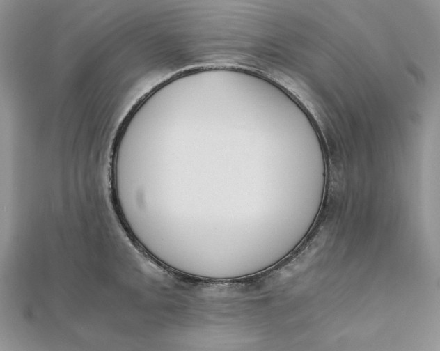 X0000111431093200908031326