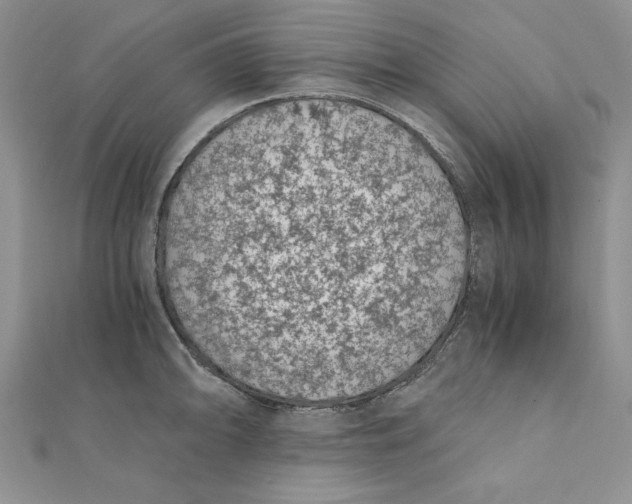 X0000111431094200908031326