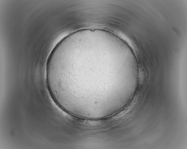 X0000111431095200908031326