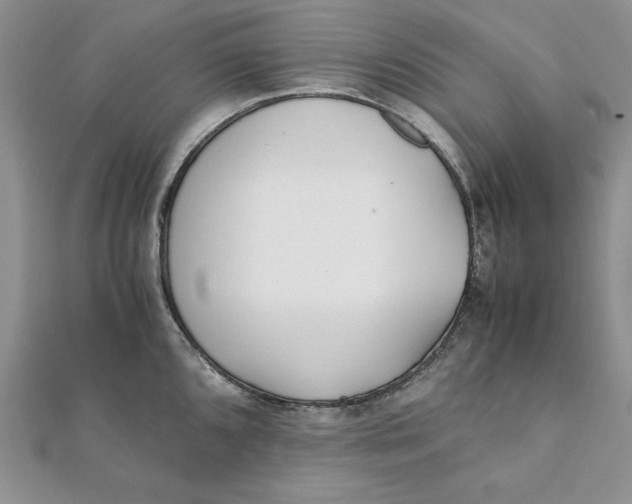 X0000111431096200908031326