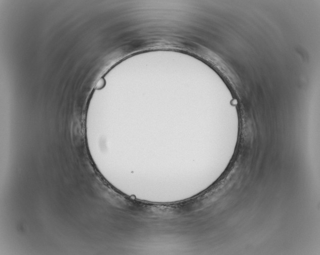 X0000111431097200908031326