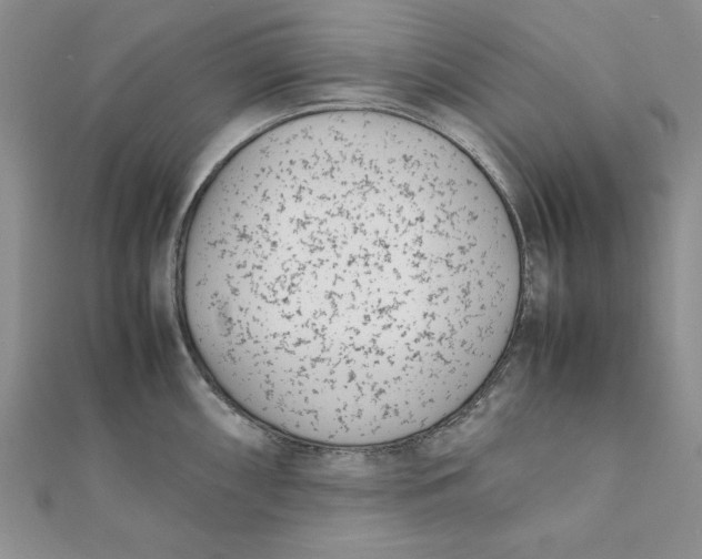 X0000111431098200908031326