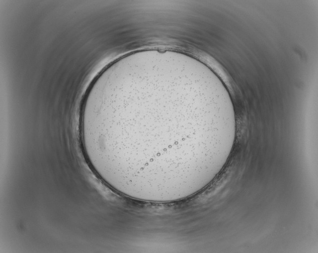 X0000111431099200908031326