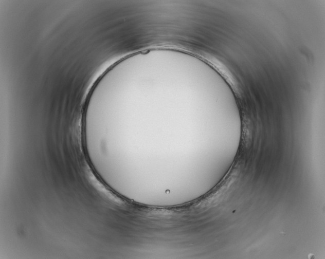 X0000111431100200908031326