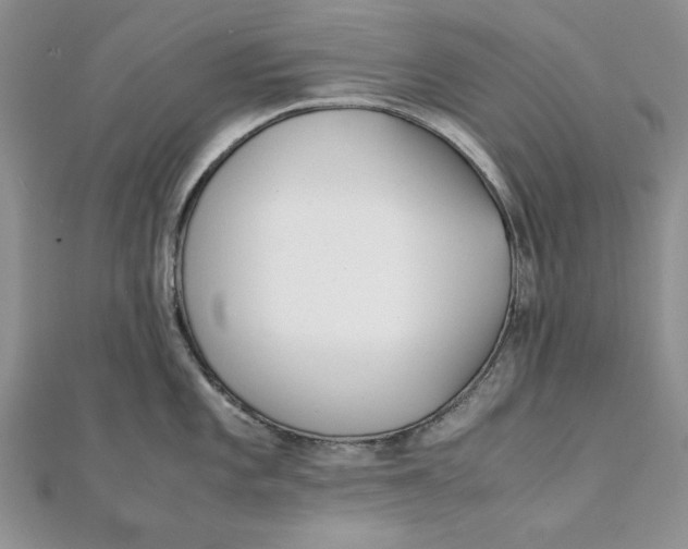 X0000111431101200908031326