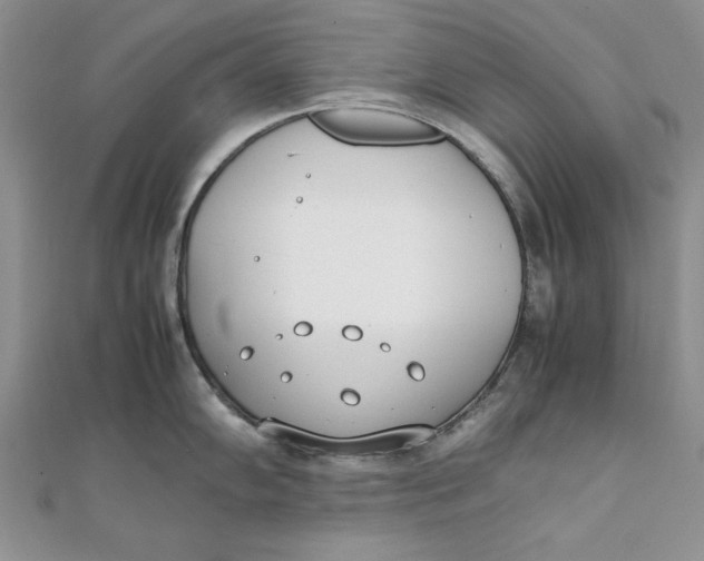 X0000111431102200908031326