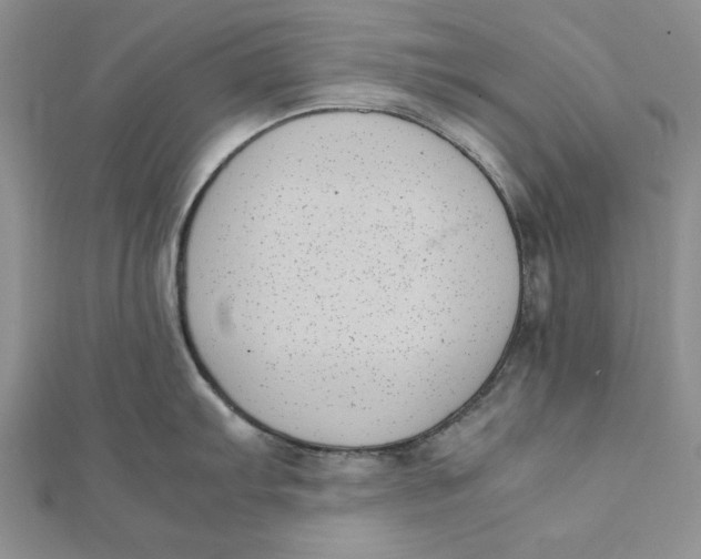 X0000111431103200908031326