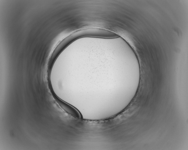 X0000111431104200908031326