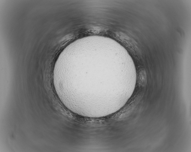 X0000111431105200908031325