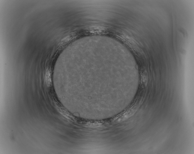 X0000111431106200908031325