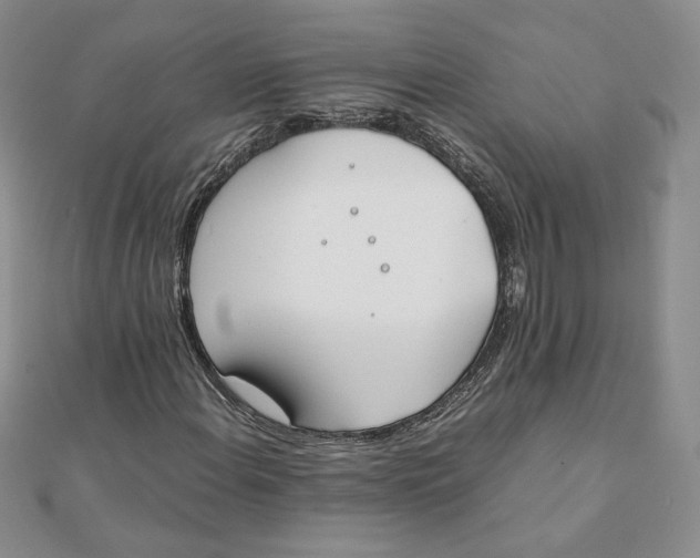 X0000111431108200908031325