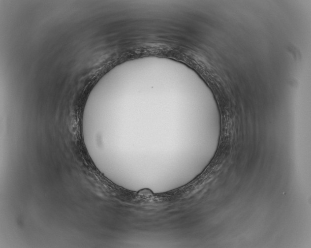 X0000111431109200908031325