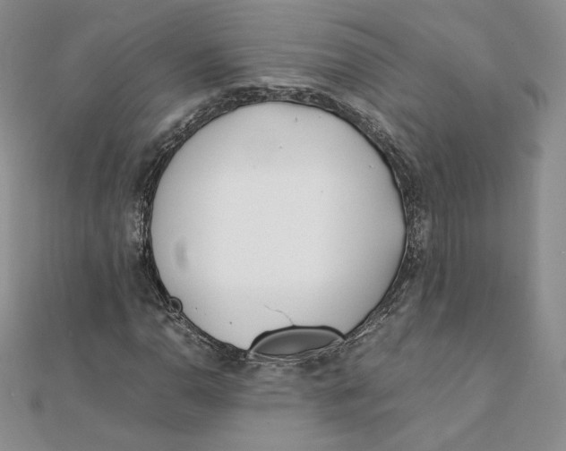 X0000111431110200908031325