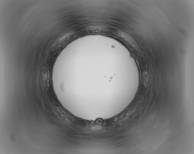 X0000111431111200908031325