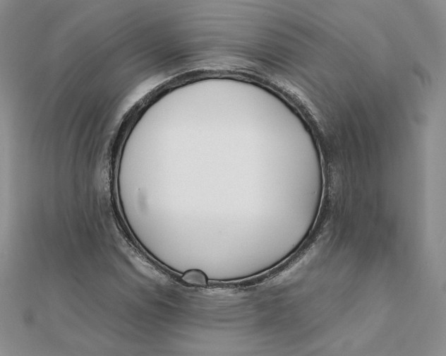 X0000111431114200908031325