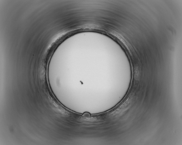 X0000111431115200908031325