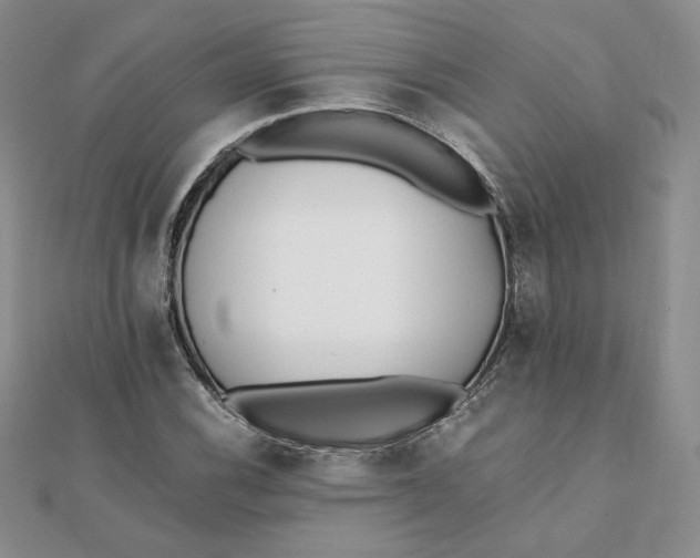 X0000111431116200908031325