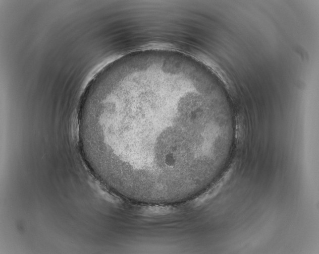 X0000111431117200908031325