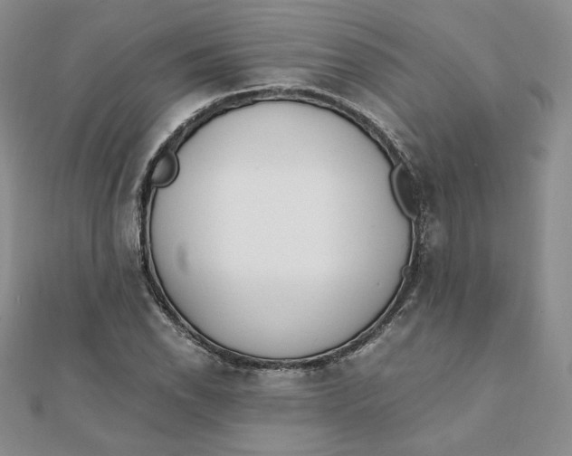 X0000111431118200908031325